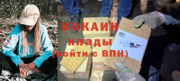 метадон Алексин