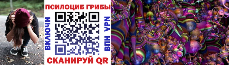 цены наркотик  Алексеевка  Псилоцибиновые грибы Cubensis 